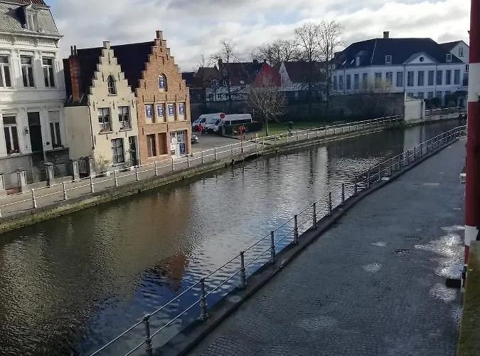 Mooie zwaantjes Brugge